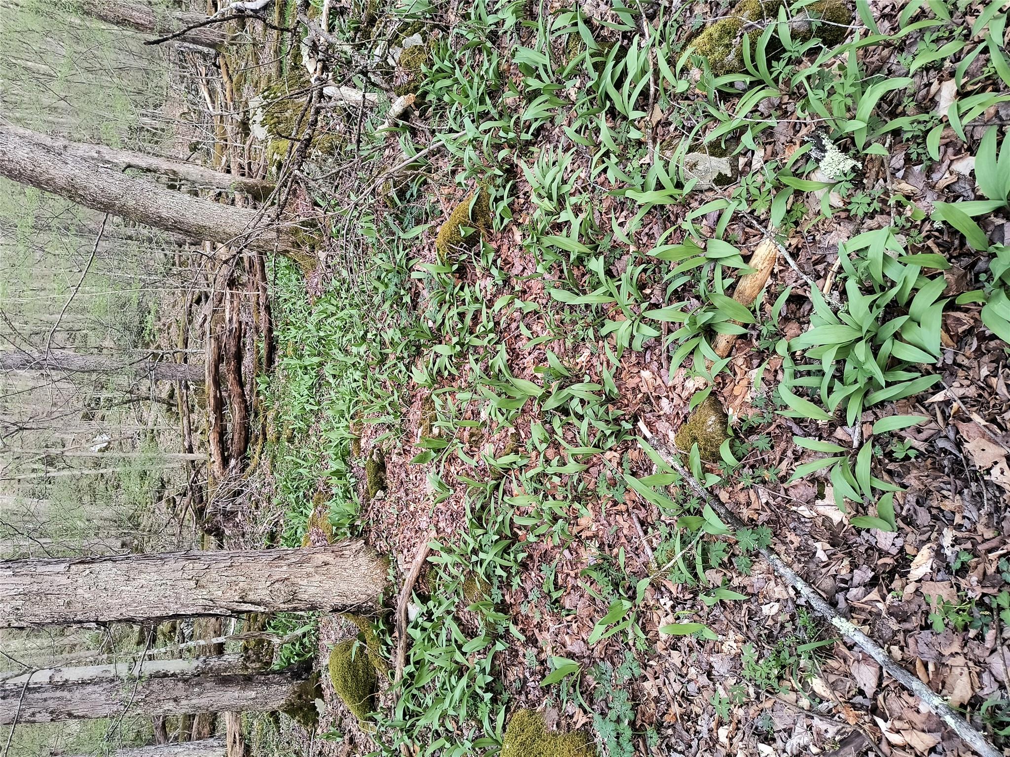 #12 photo, Chiloway Road, Hancock , NY 13783