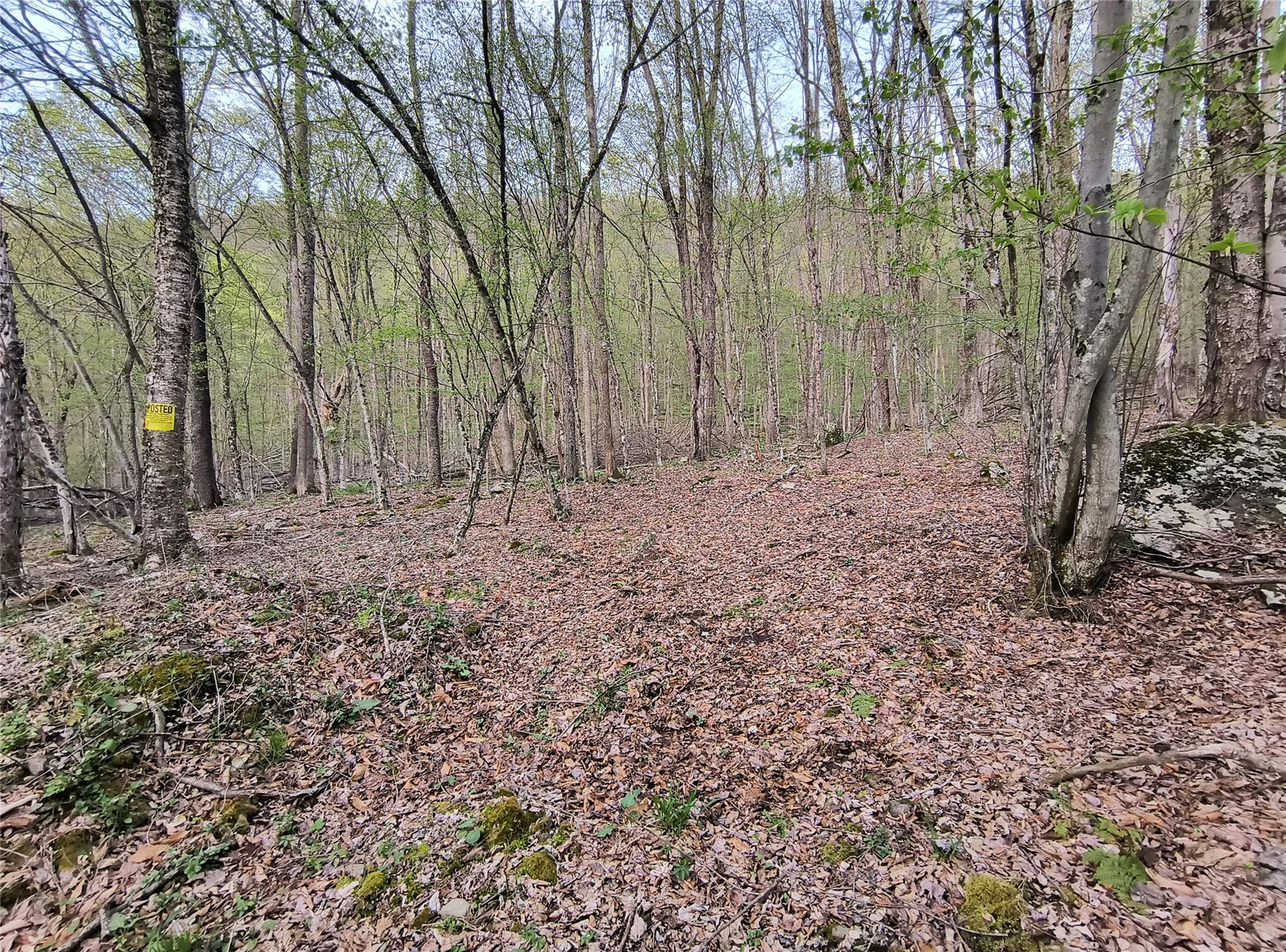 #14 photo, Chiloway Road, Hancock , NY 13783