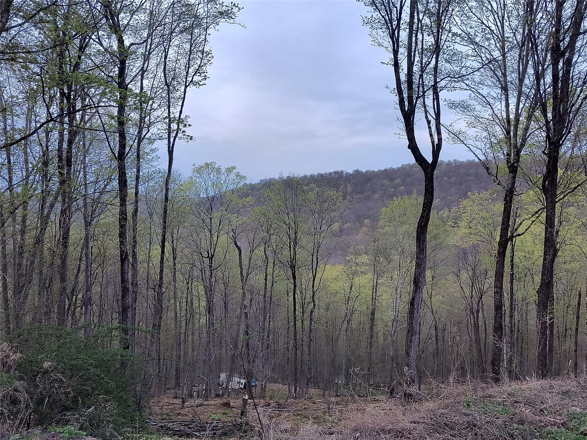 #16 photo, Chiloway Road, Hancock , NY 13783