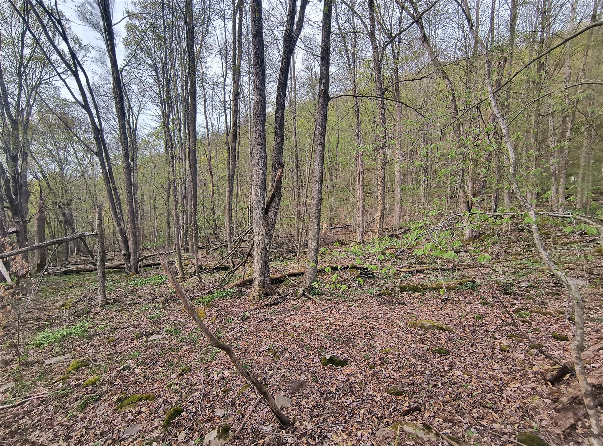 #2 photo, Chiloway Road, Hancock , NY 13783