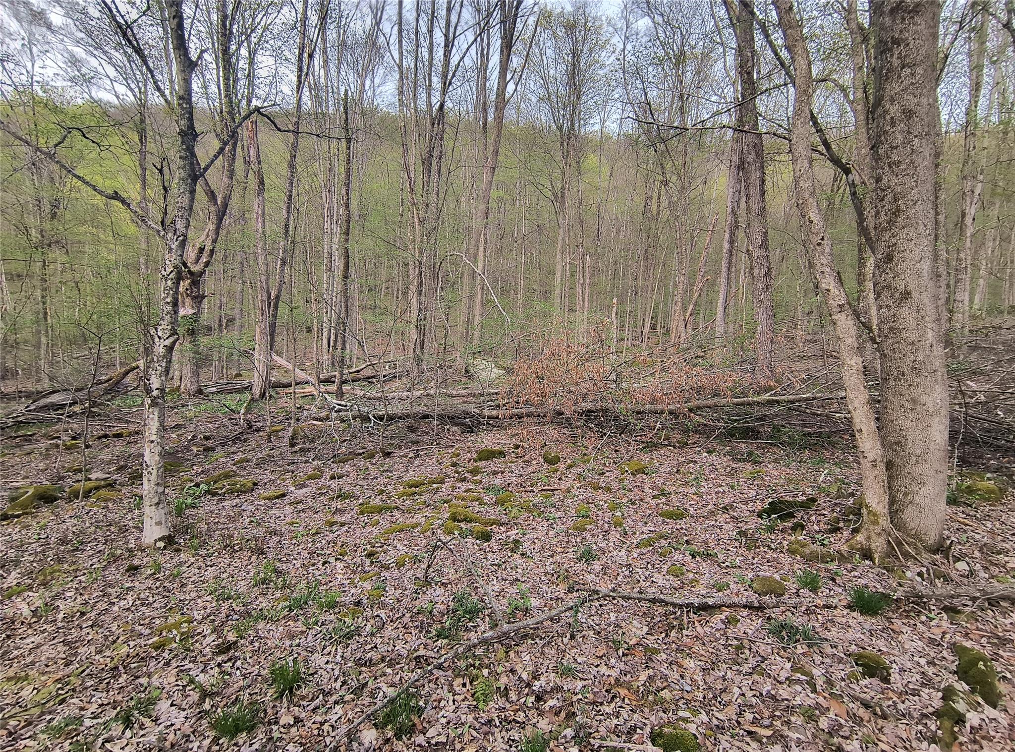 #3 photo, Chiloway Road, Hancock , NY 13783