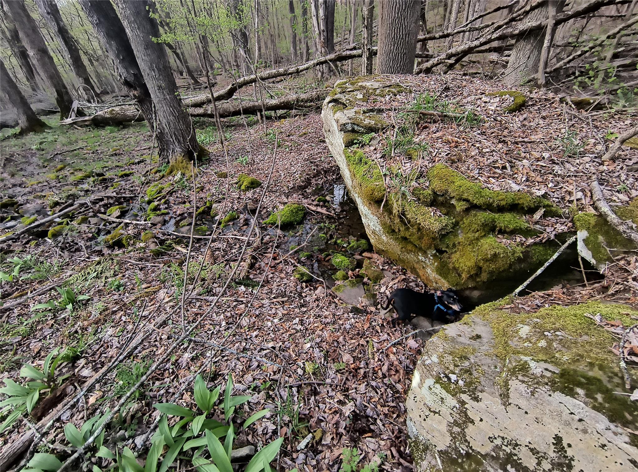 #4 photo, Chiloway Road, Hancock , NY 13783