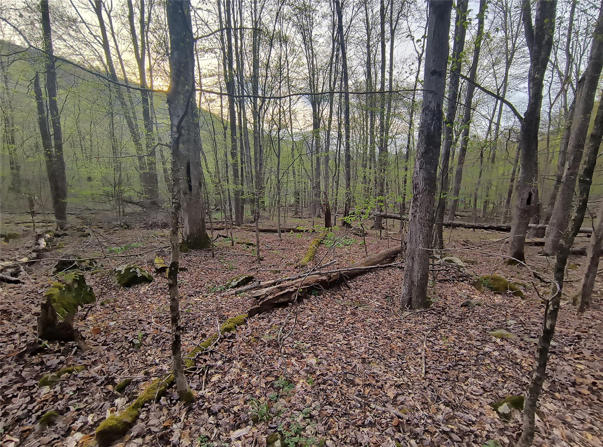 #5 photo, Chiloway Road, Hancock , NY 13783