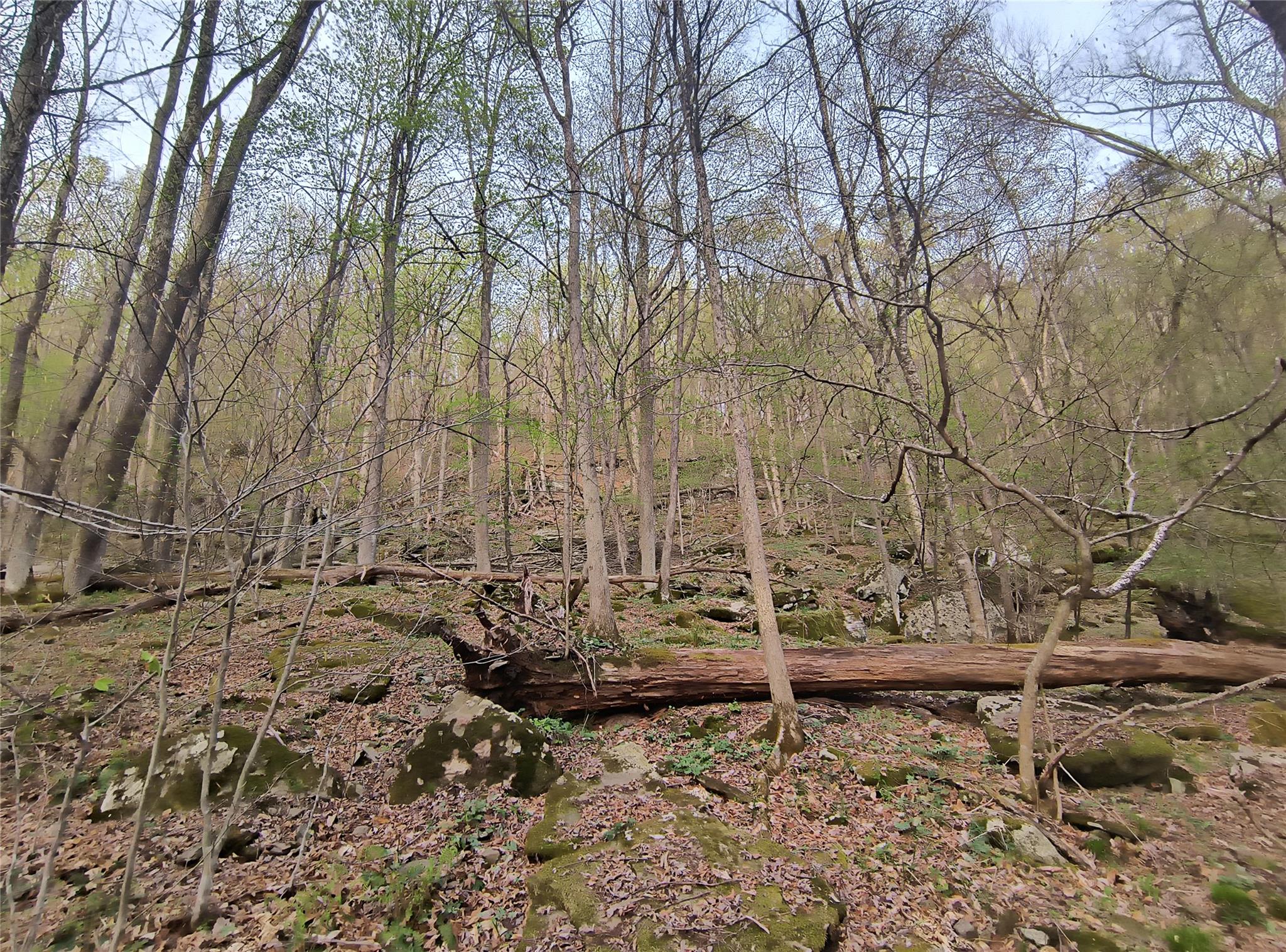 #6 photo, Chiloway Road, Hancock , NY 13783