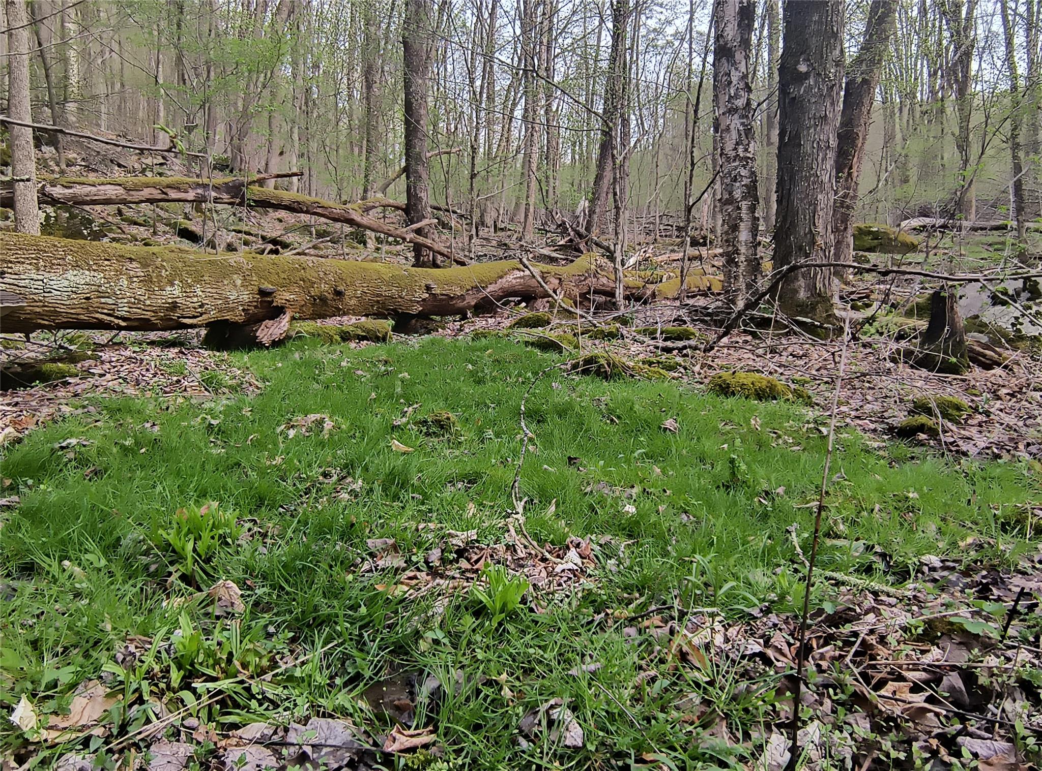 #7 photo, Chiloway Road, Hancock , NY 13783