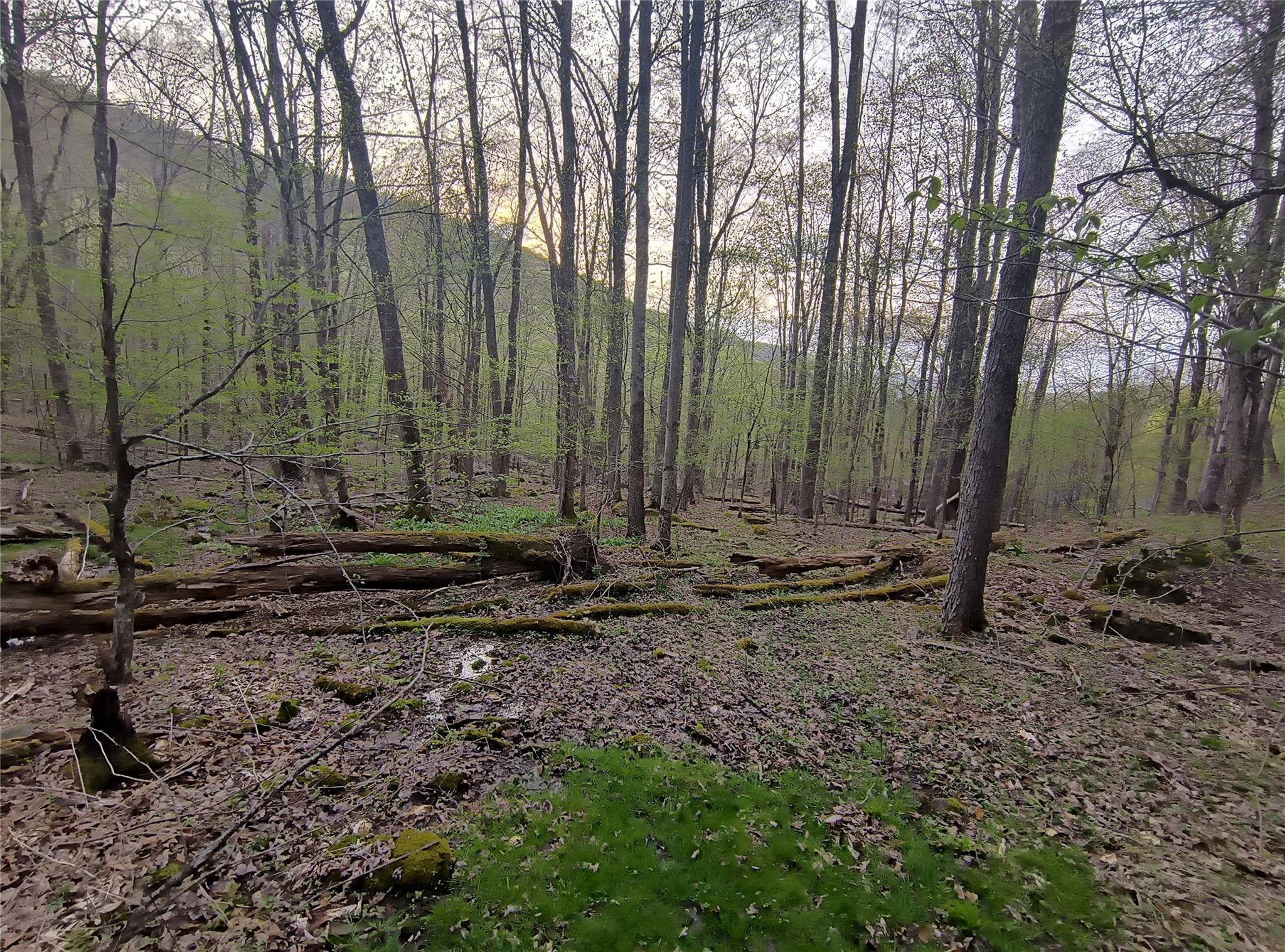 #8 photo, Chiloway Road, Hancock , NY 13783