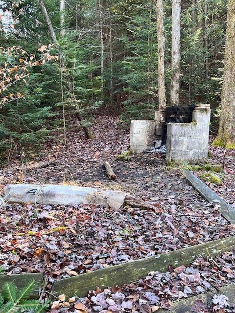 #31 photo, 786 State Route 8 Rd, Hoffmeister , NY 13353