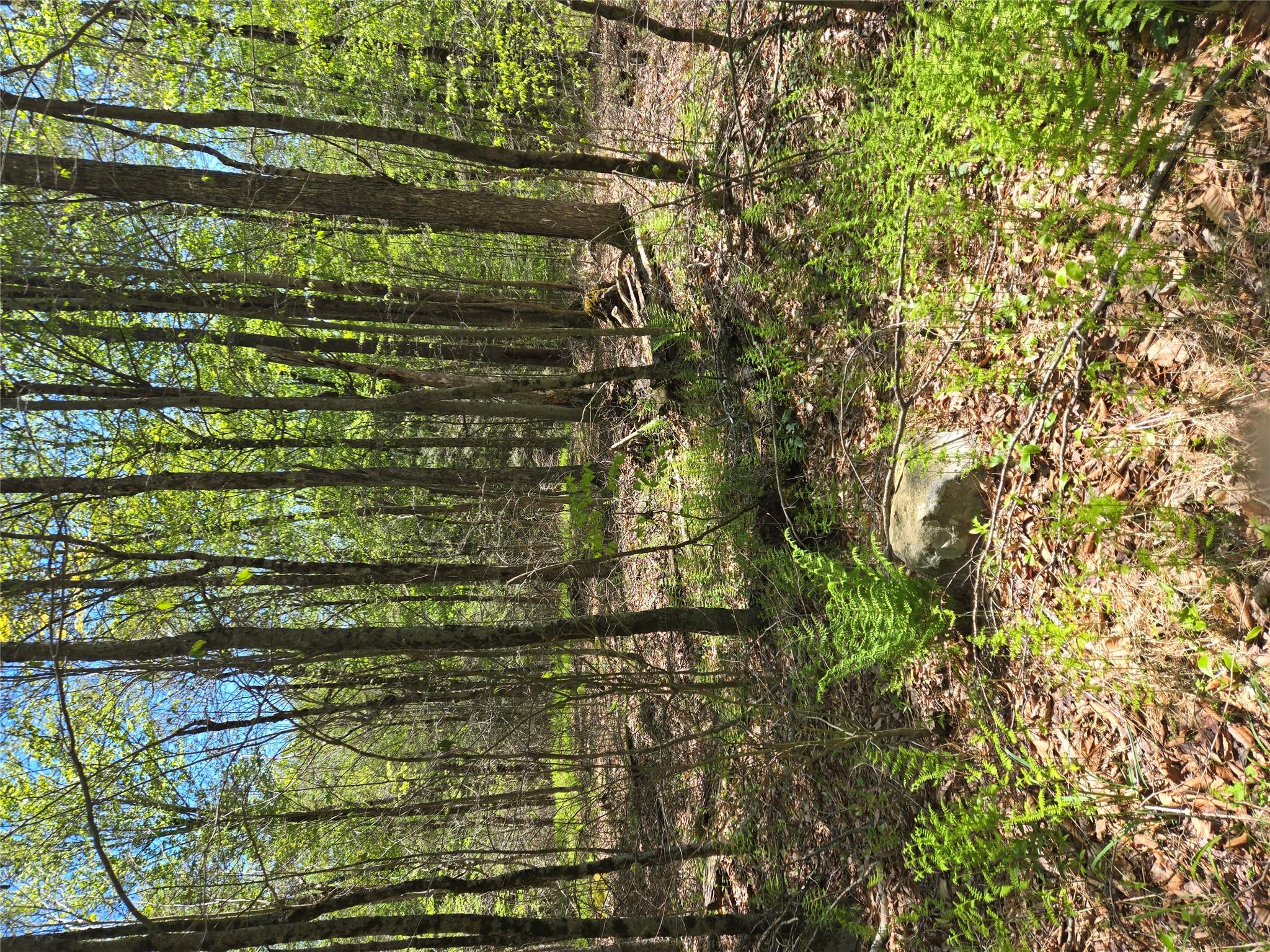 #2 photo, Dill Road, Forestburgh , NY 12777