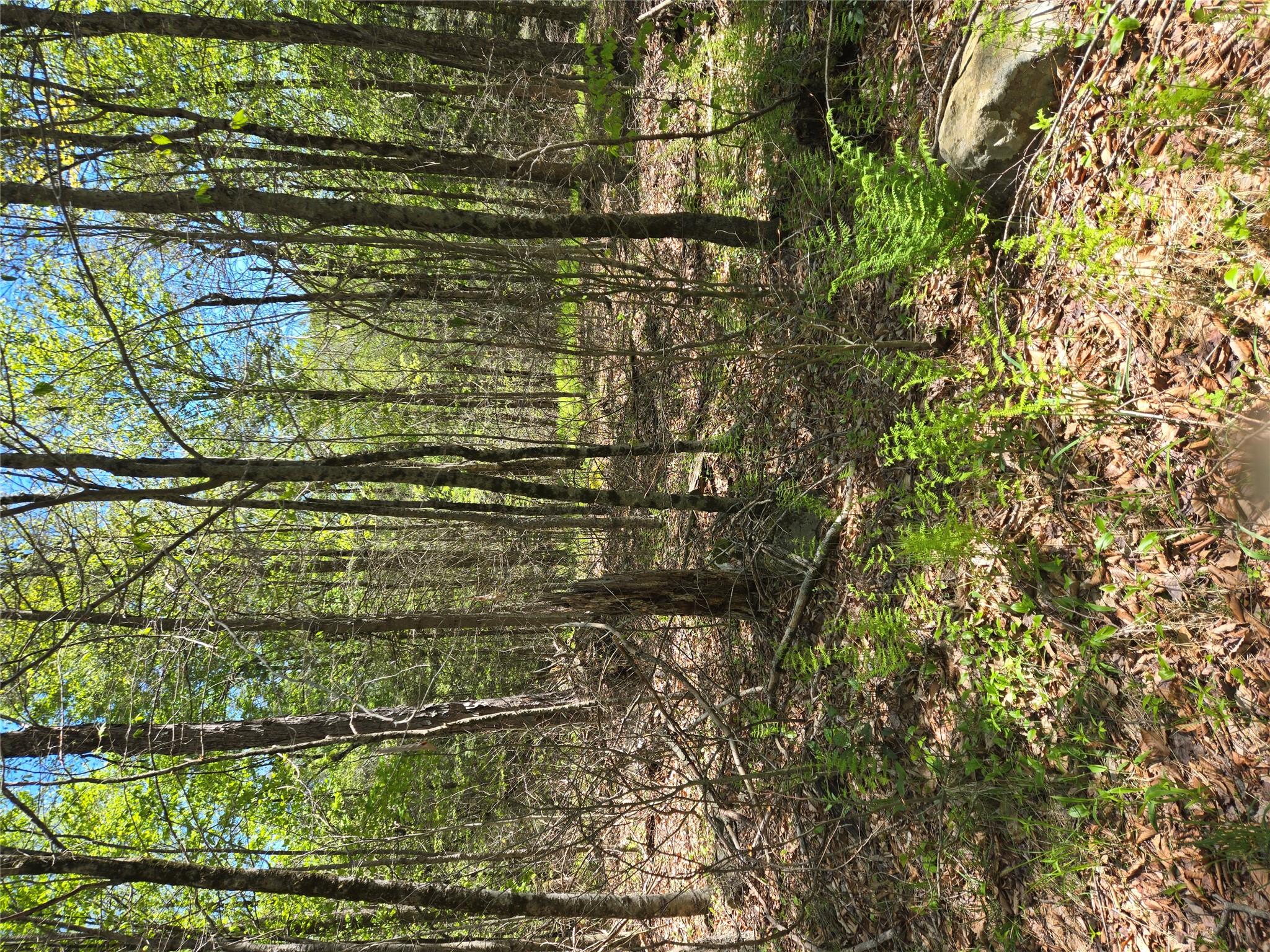 #3 photo, Dill Road, Forestburgh , NY 12777