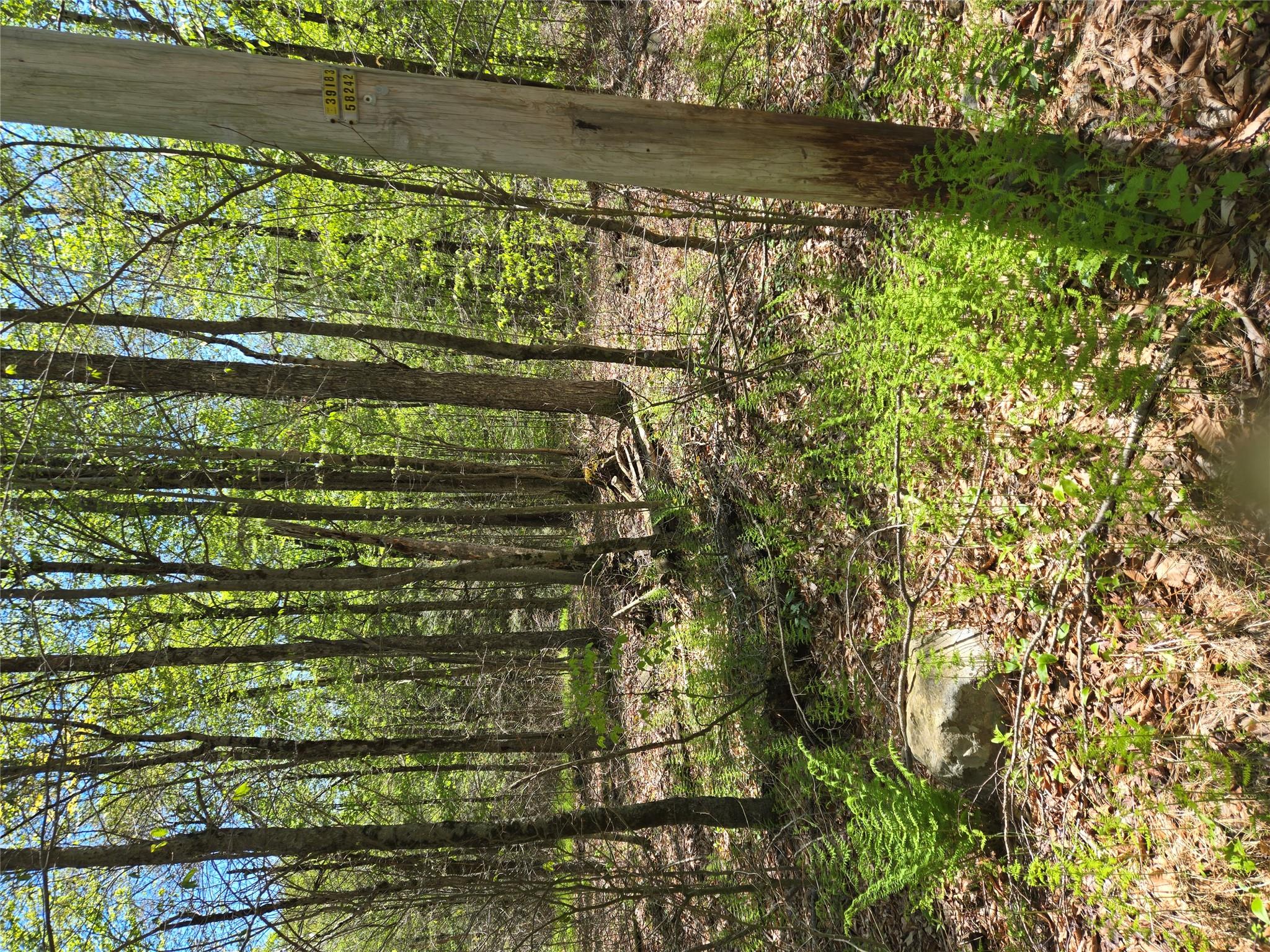 #4 photo, Dill Road, Forestburgh , NY 12777