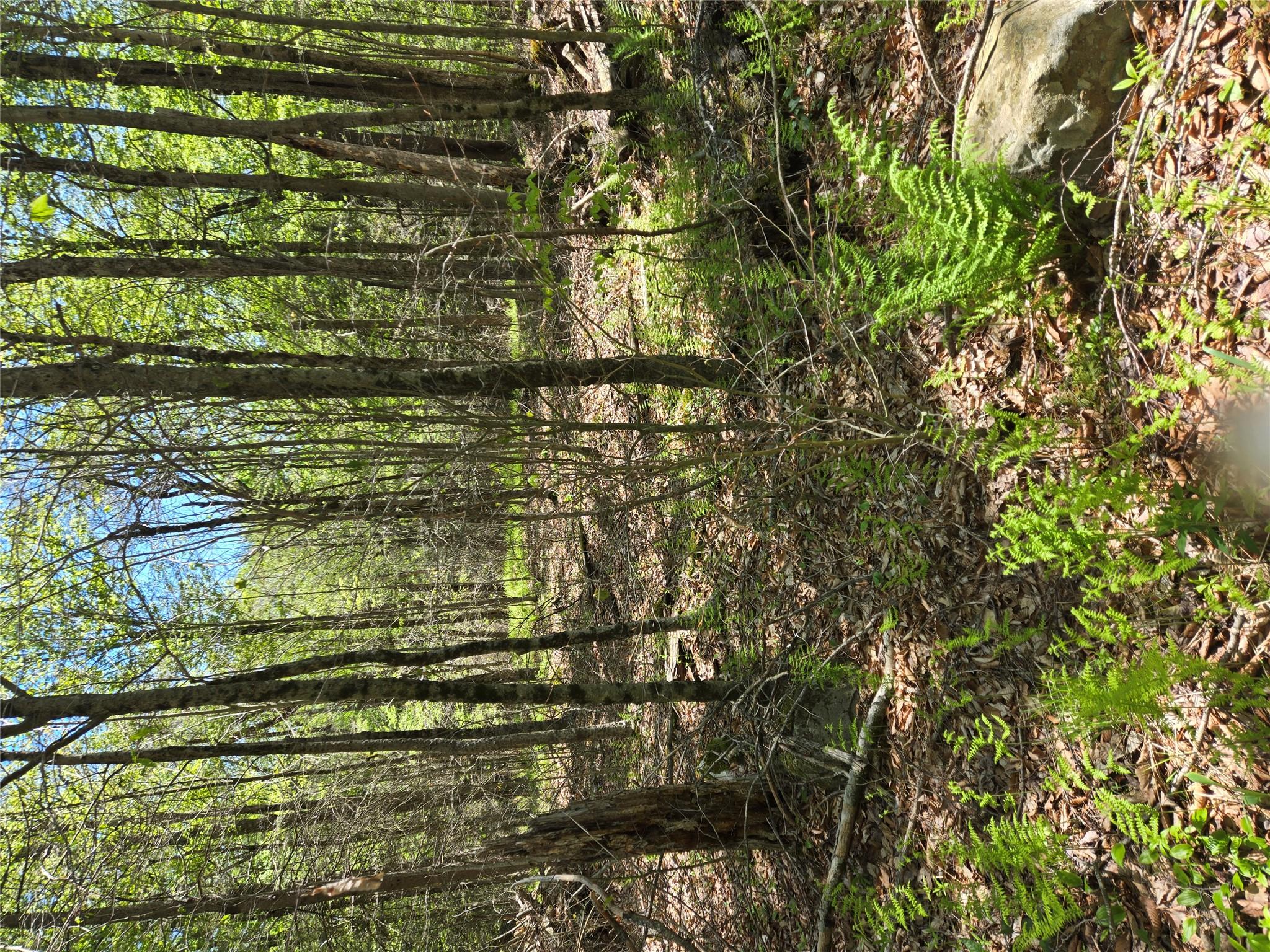 #5 photo, Dill Road, Forestburgh , NY 12777