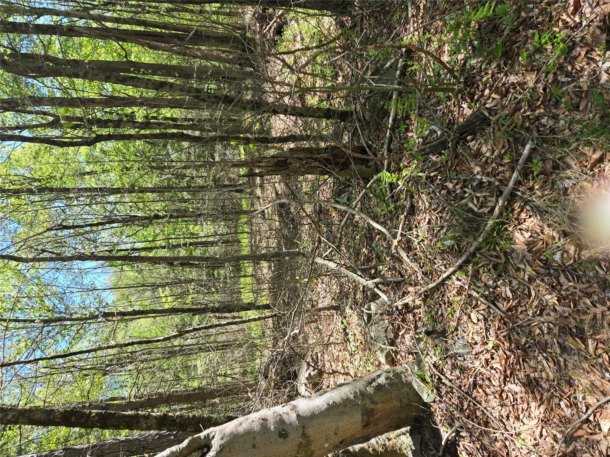 #6 photo, Dill Road, Forestburgh , NY 12777