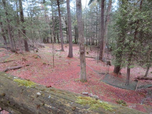 #12 photo, 8401 Powerline Dr, Harrisville , NY 13648