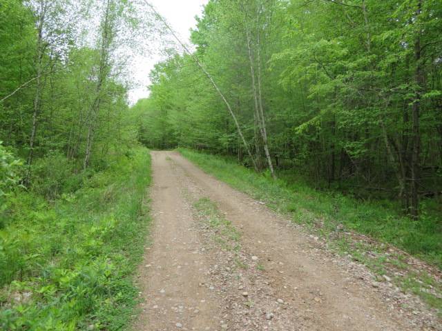 #14 photo, 8401 Powerline Dr, Harrisville , NY 13648