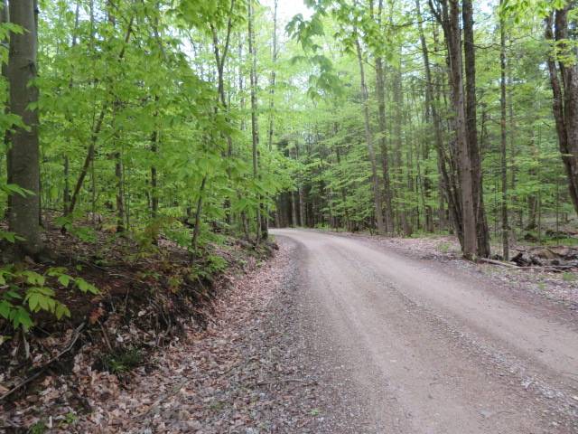 #15 photo, 8401 Powerline Dr, Harrisville , NY 13648