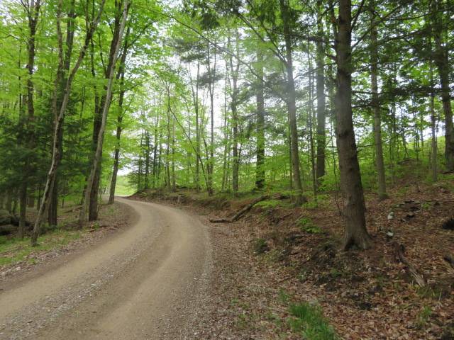 #16 photo, 8401 Powerline Dr, Harrisville , NY 13648