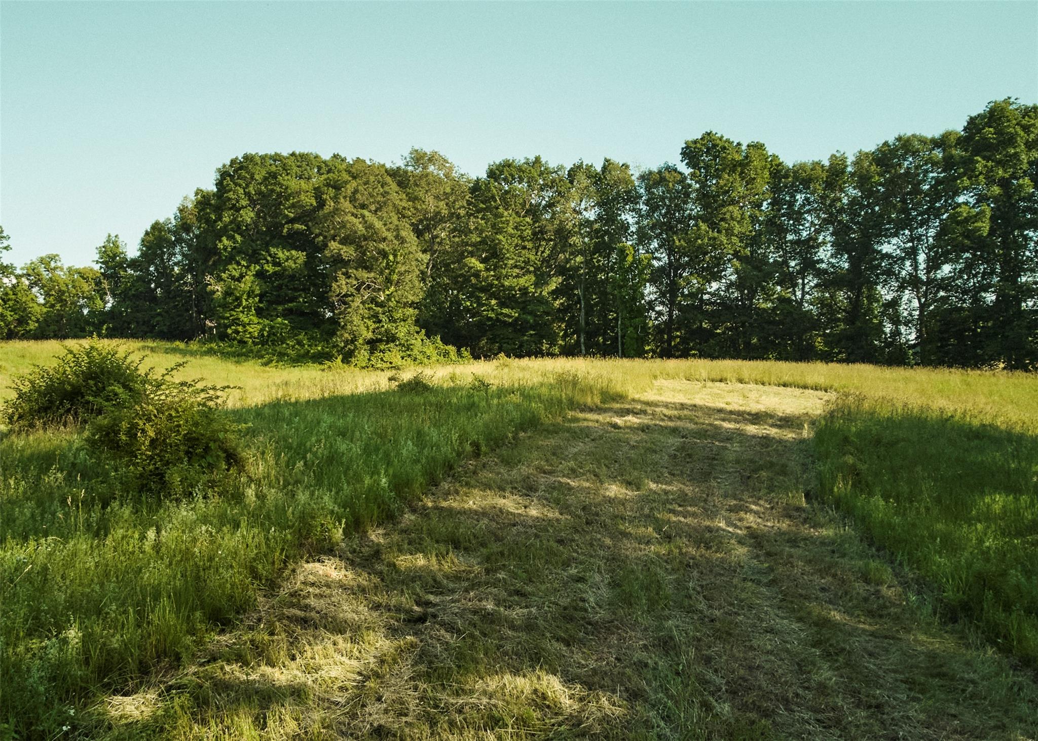 #10 photo, 78-79 Fox Lane, Tivoli , NY 12583