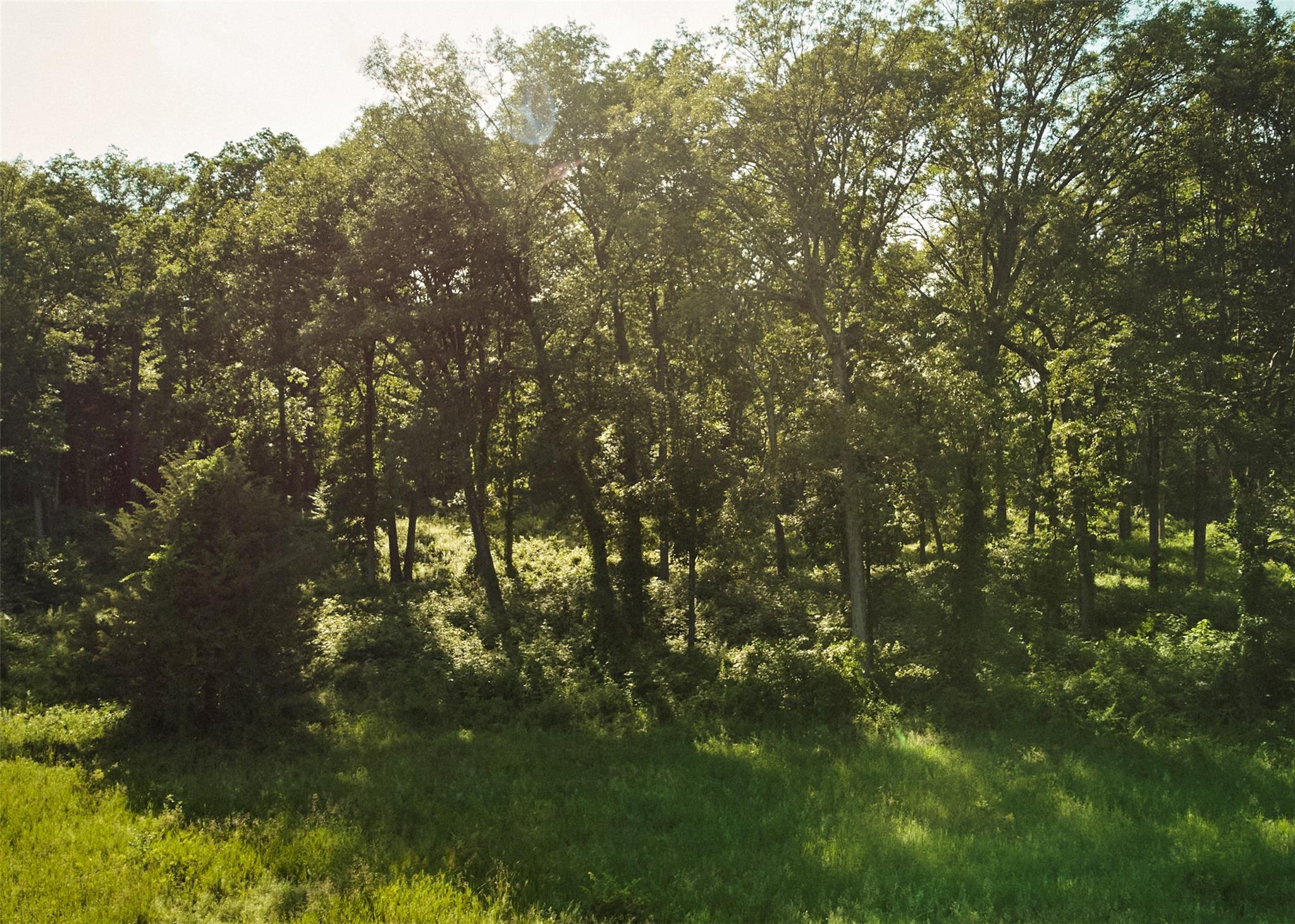 #11 photo, 78-79 Fox Lane, Tivoli , NY 12583