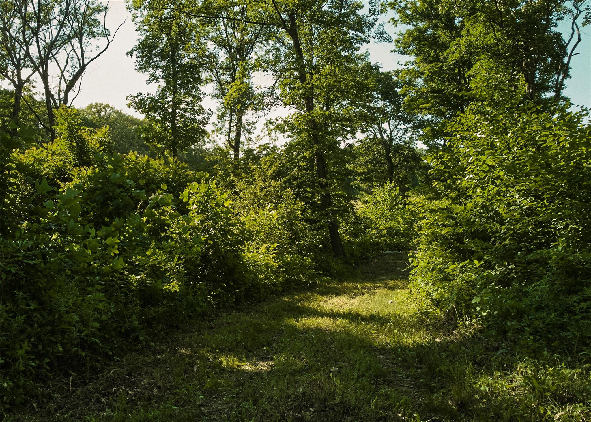 #12 photo, 78-79 Fox Lane, Tivoli , NY 12583