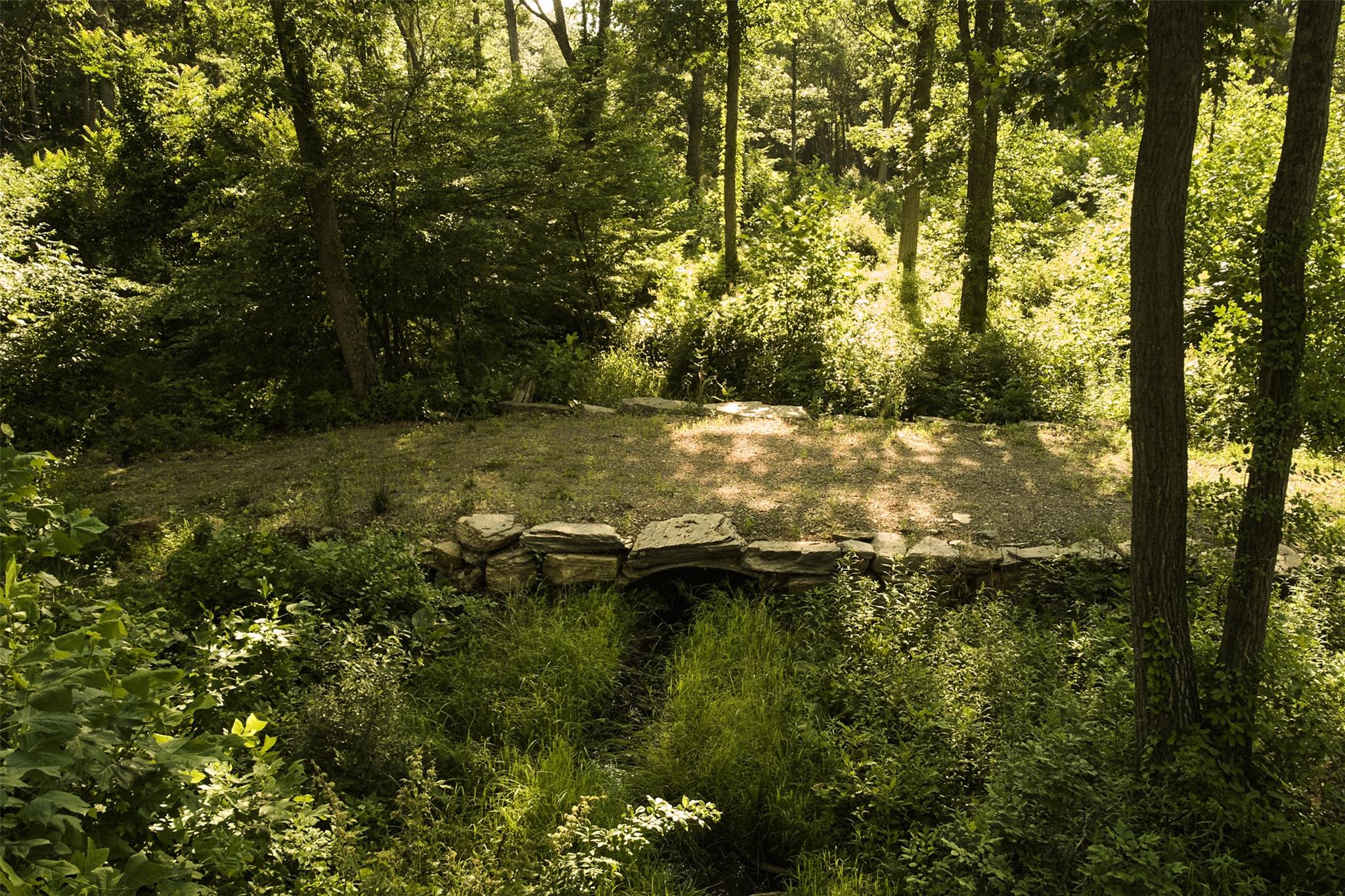 #13 photo, 78-79 Fox Lane, Tivoli , NY 12583