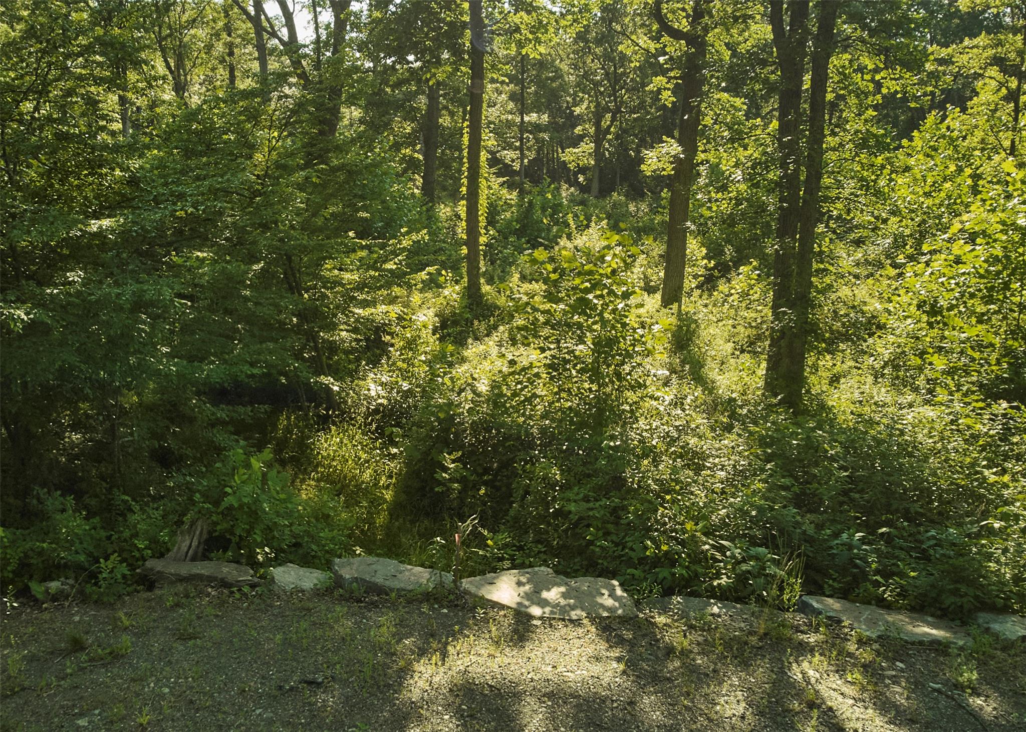 #14 photo, 78-79 Fox Lane, Tivoli , NY 12583