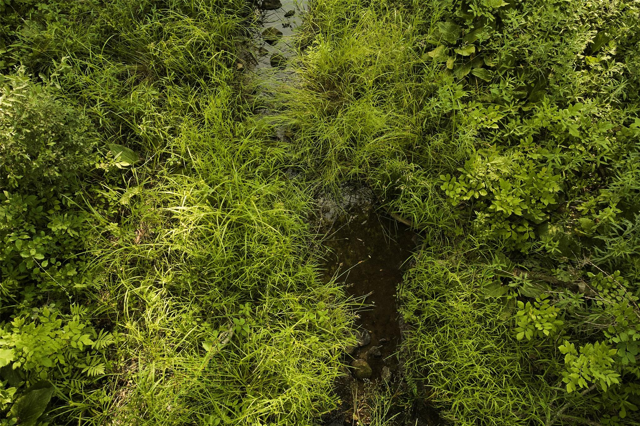 #15 photo, 78-79 Fox Lane, Tivoli , NY 12583