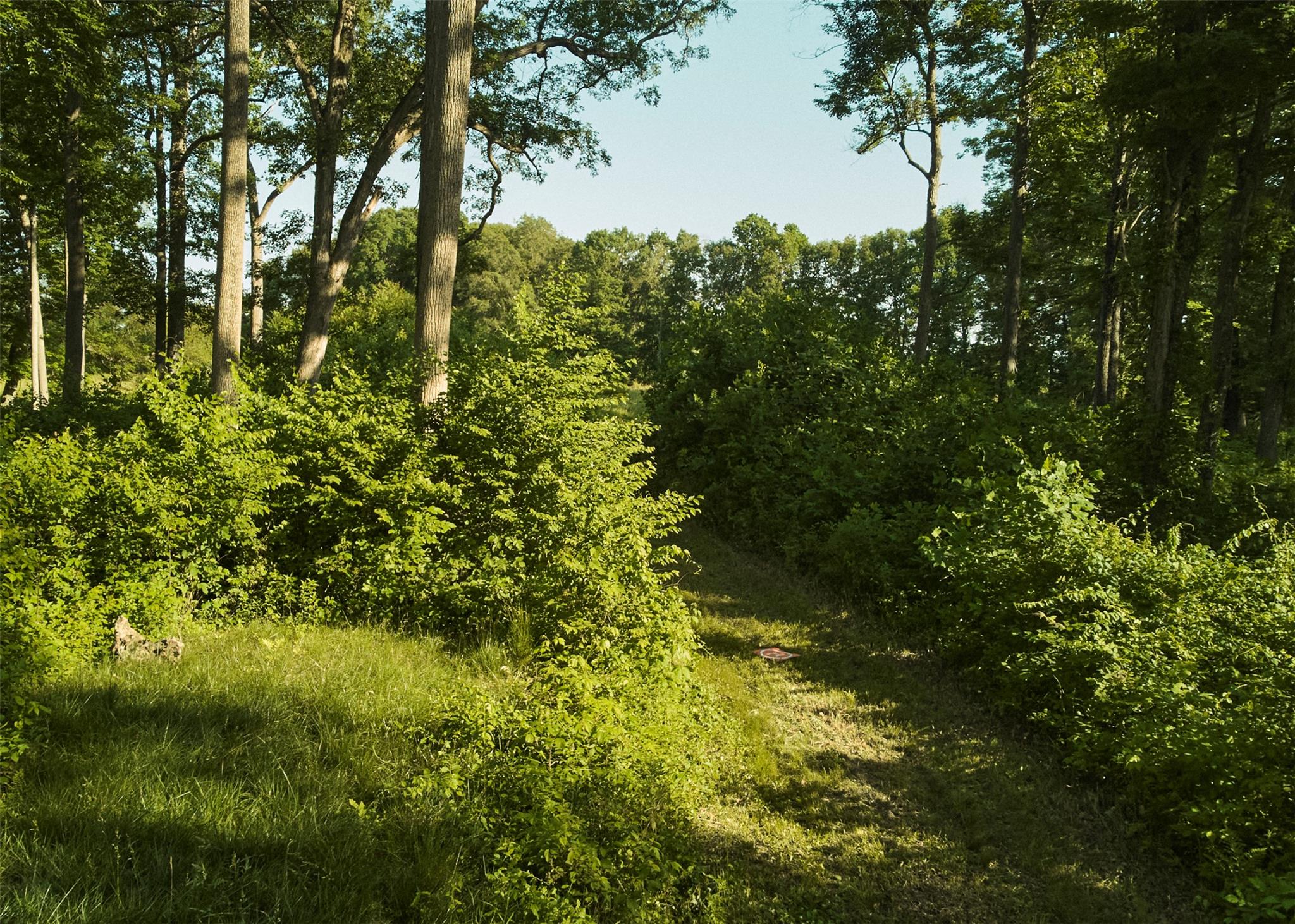 #16 photo, 78-79 Fox Lane, Tivoli , NY 12583