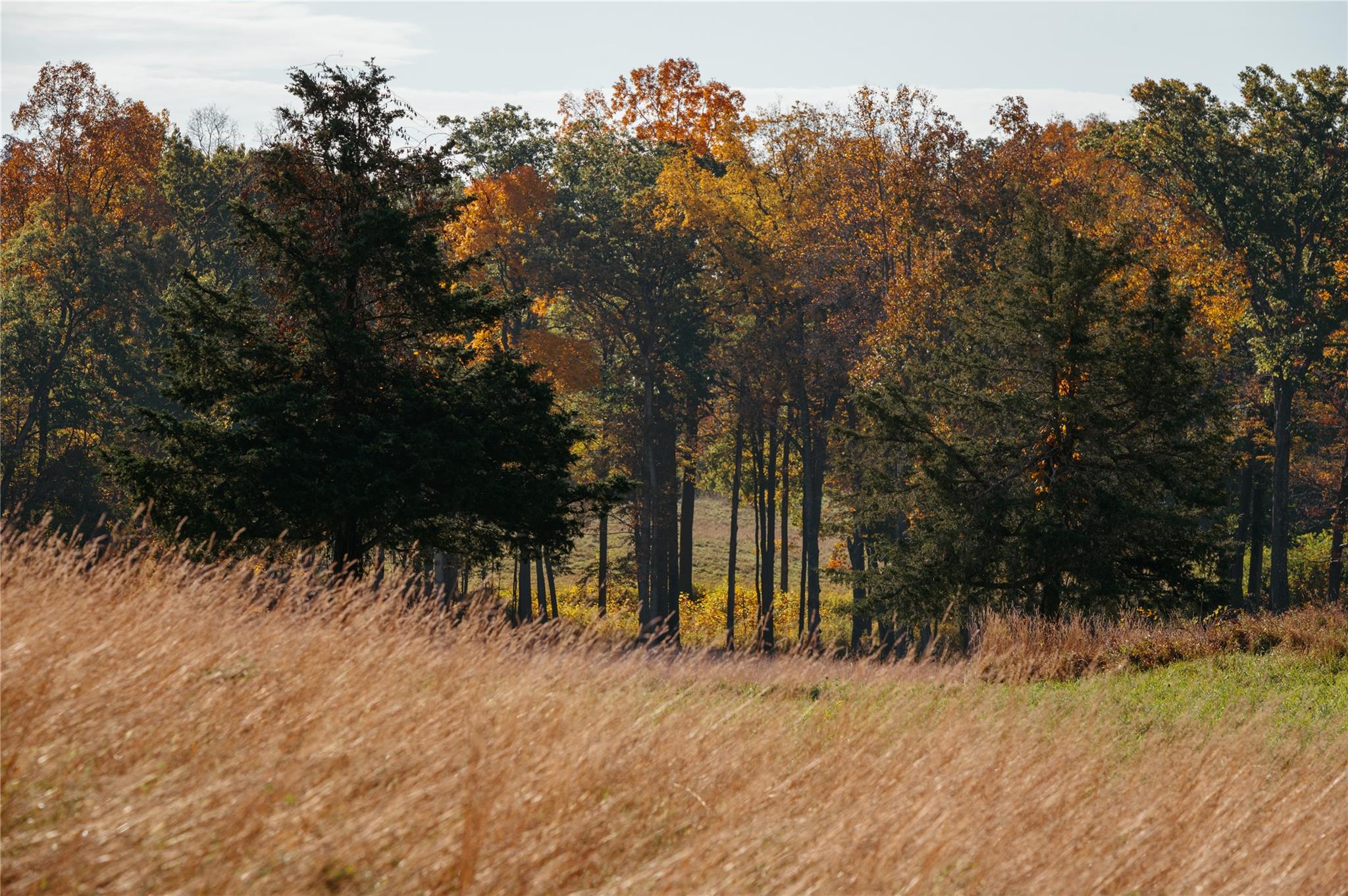 #2 photo, 78-79 Fox Lane, Tivoli , NY 12583