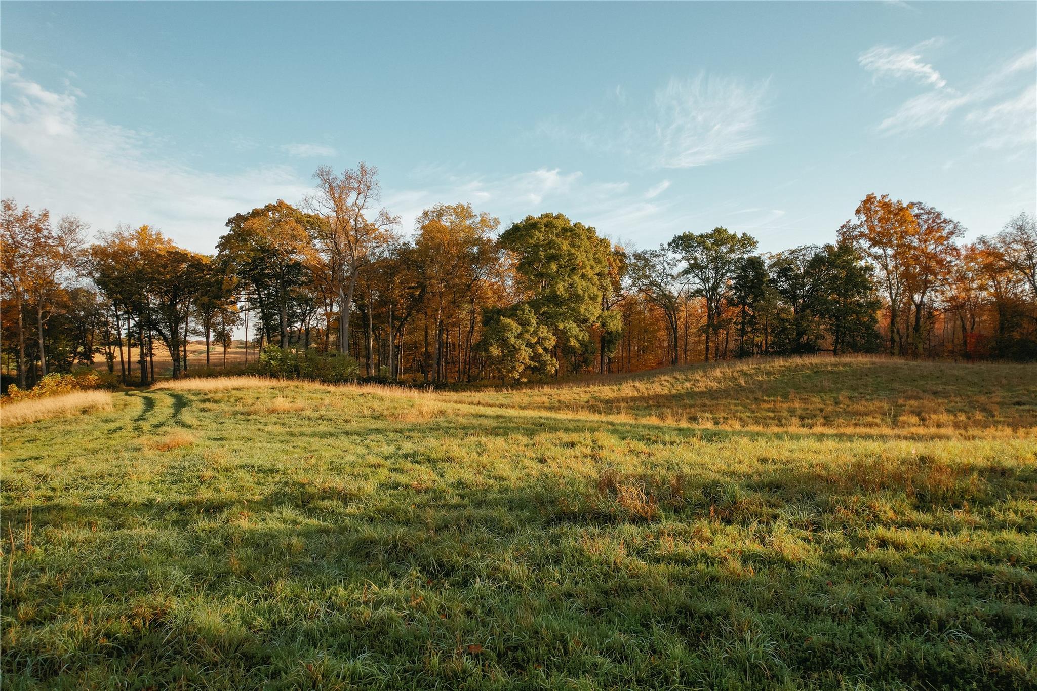 #3 photo, 78-79 Fox Lane, Tivoli , NY 12583