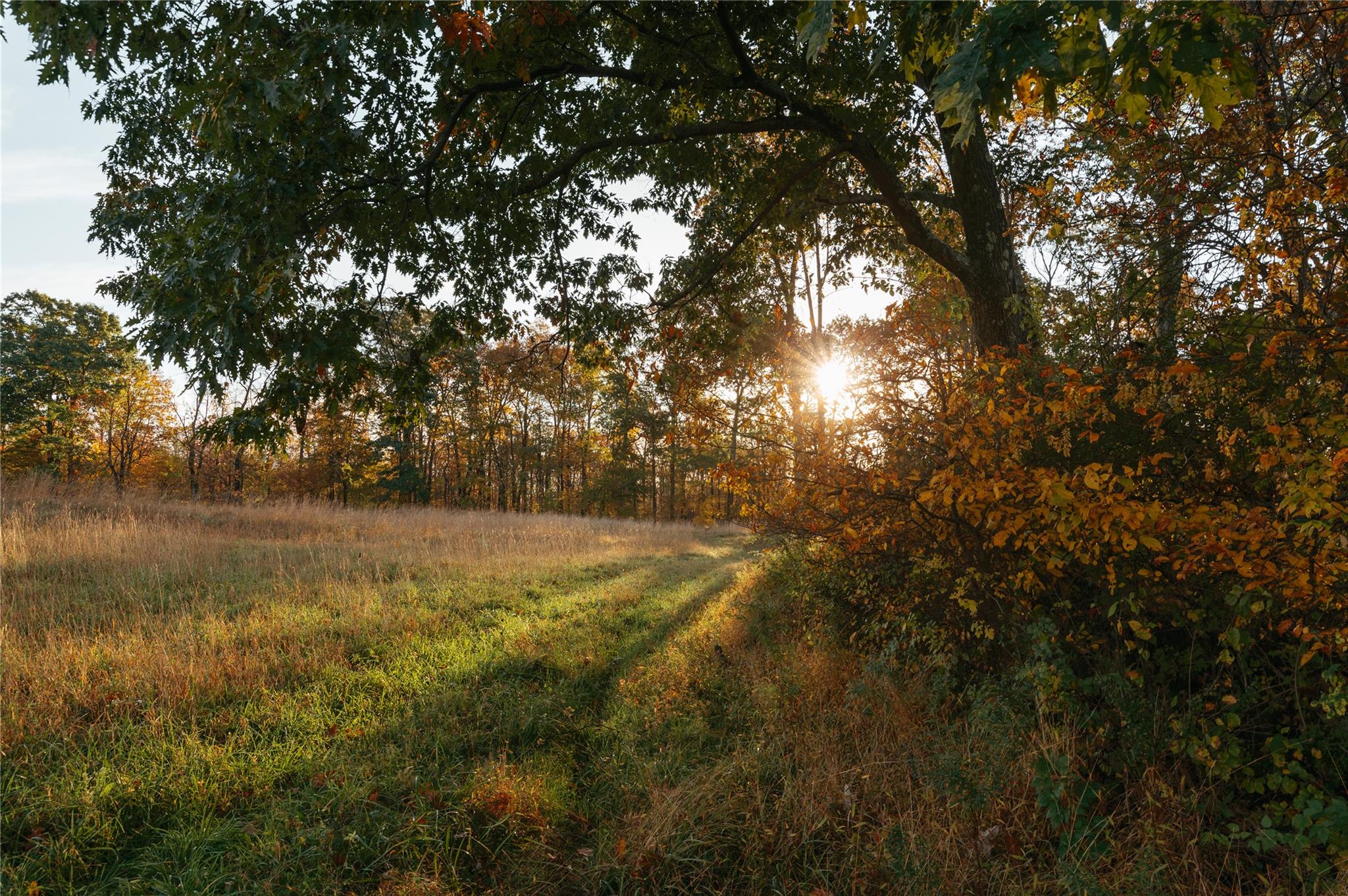 #4 photo, 78-79 Fox Lane, Tivoli , NY 12583