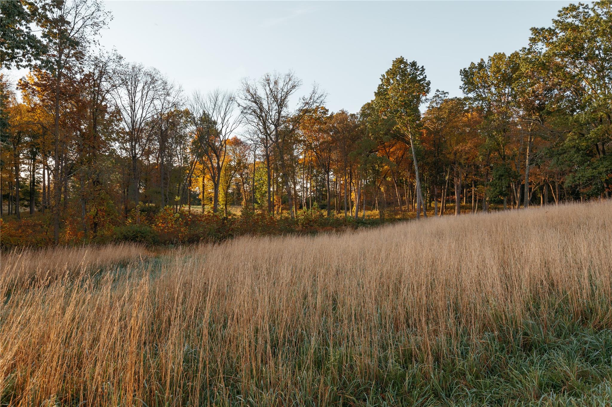 #5 photo, 78-79 Fox Lane, Tivoli , NY 12583