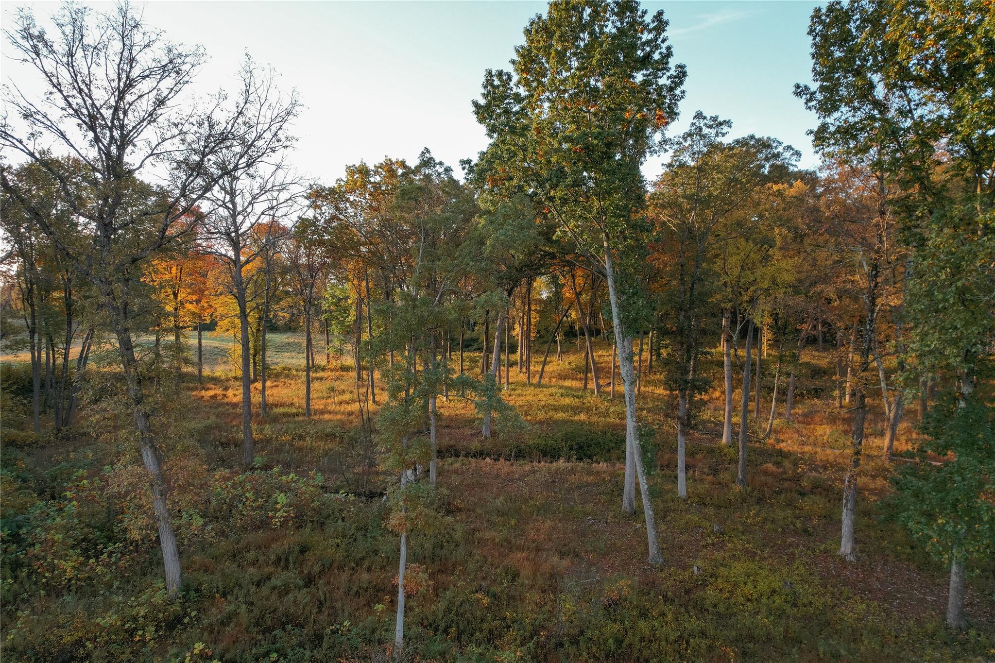 #6 photo, 78-79 Fox Lane, Tivoli , NY 12583