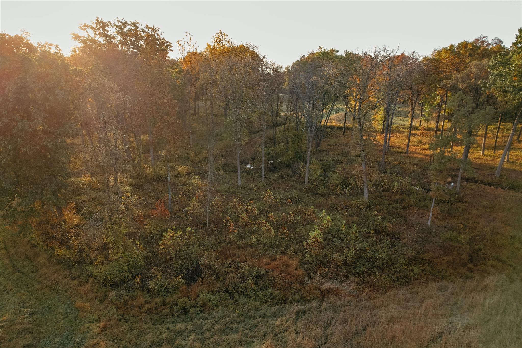 #7 photo, 78-79 Fox Lane, Tivoli , NY 12583