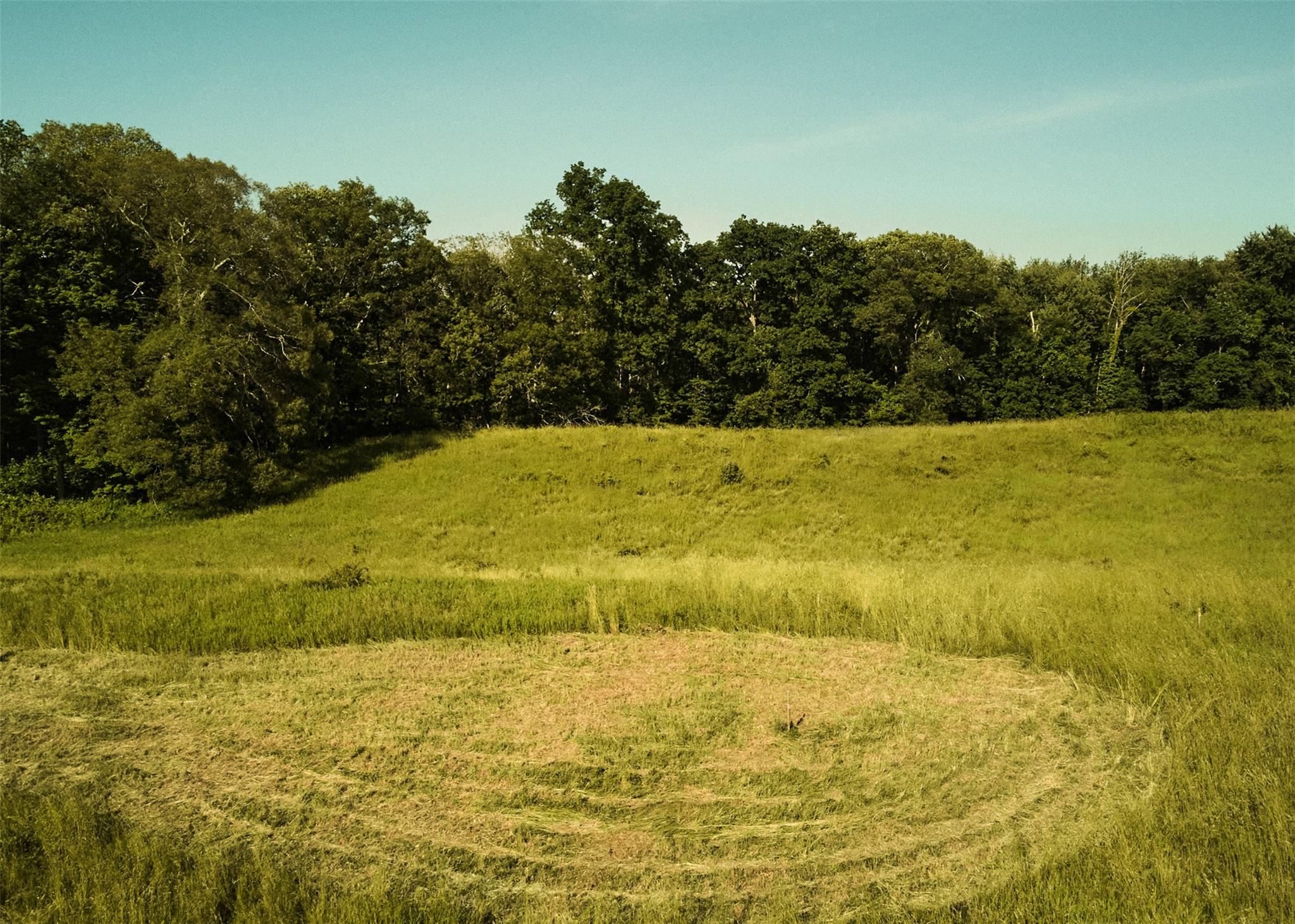 #9 photo, 78-79 Fox Lane, Tivoli , NY 12583