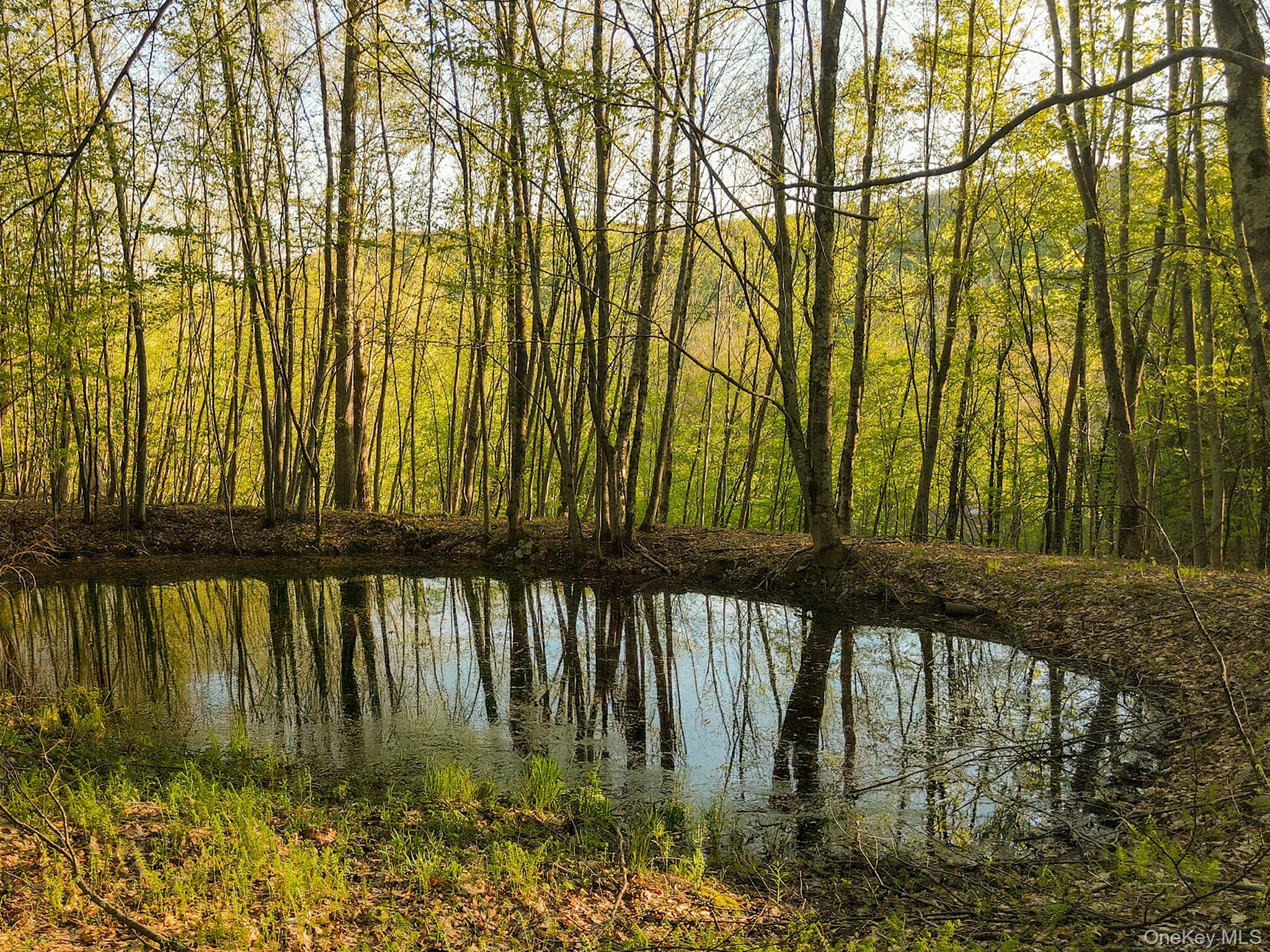 #17 photo, 2182 Old Route 17, Roscoe , NY 12776