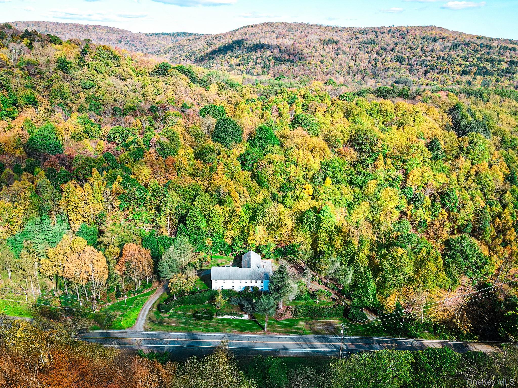 #2 photo, 2182 Old Route 17, Roscoe , NY 12776