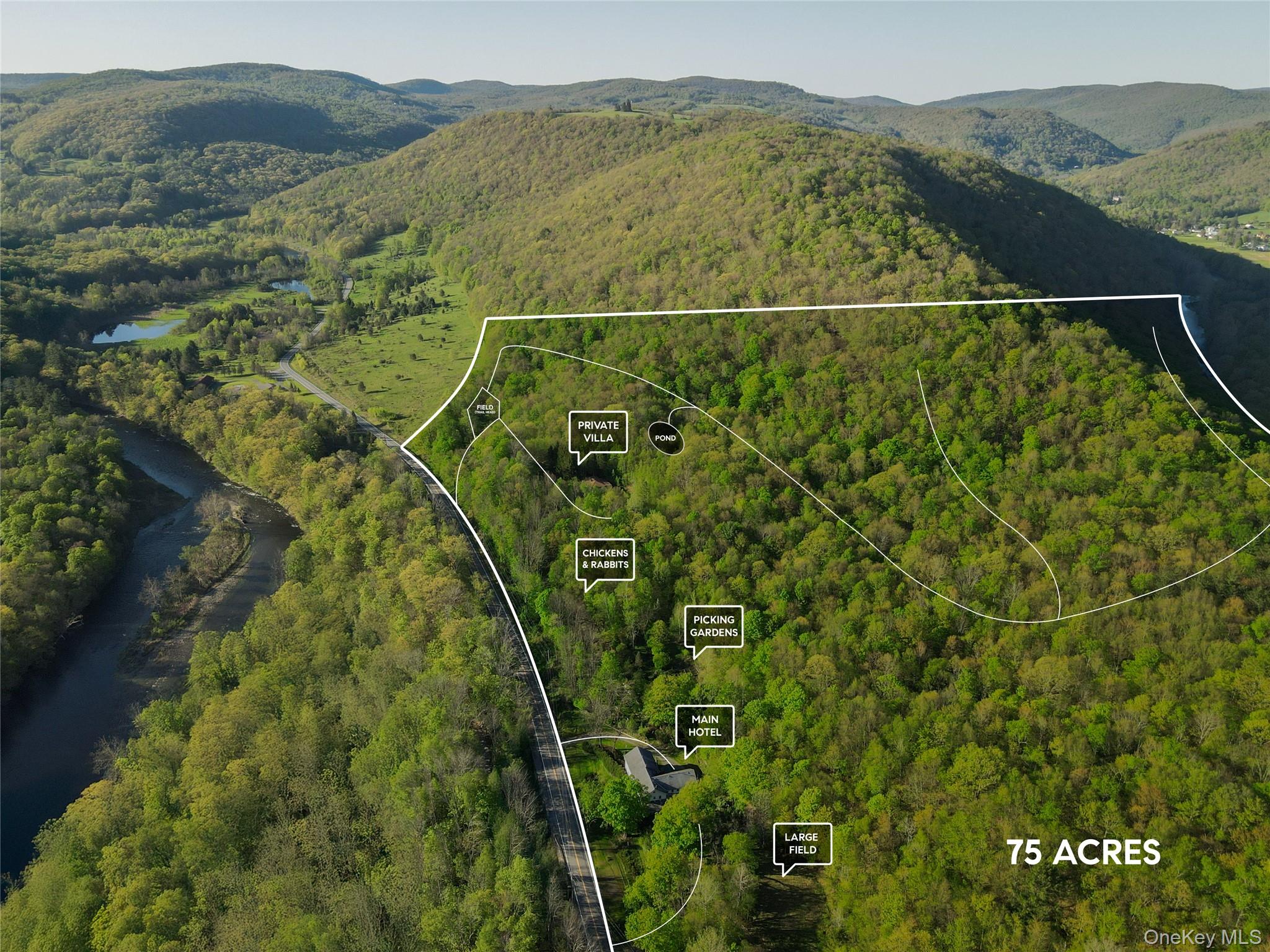 #6 photo, 2182 Old Route 17, Roscoe , NY 12776