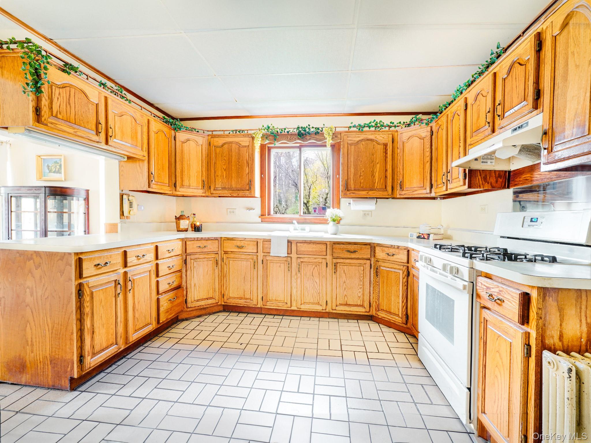 #8 photo, 2182 Old Route 17, Roscoe , NY 12776