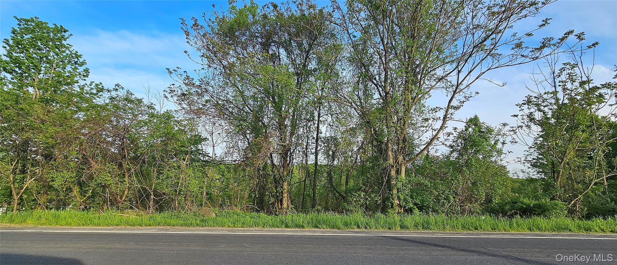 #2 photo, Old Mountain Road, Otisville , NY 10963