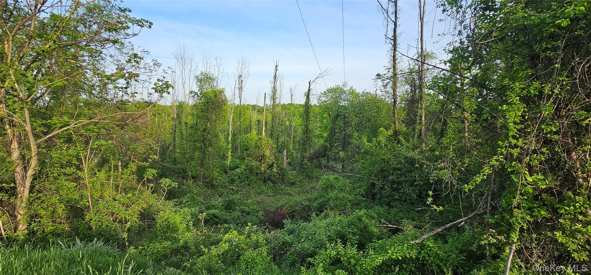 #3 photo, Old Mountain Road, Otisville , NY 10963