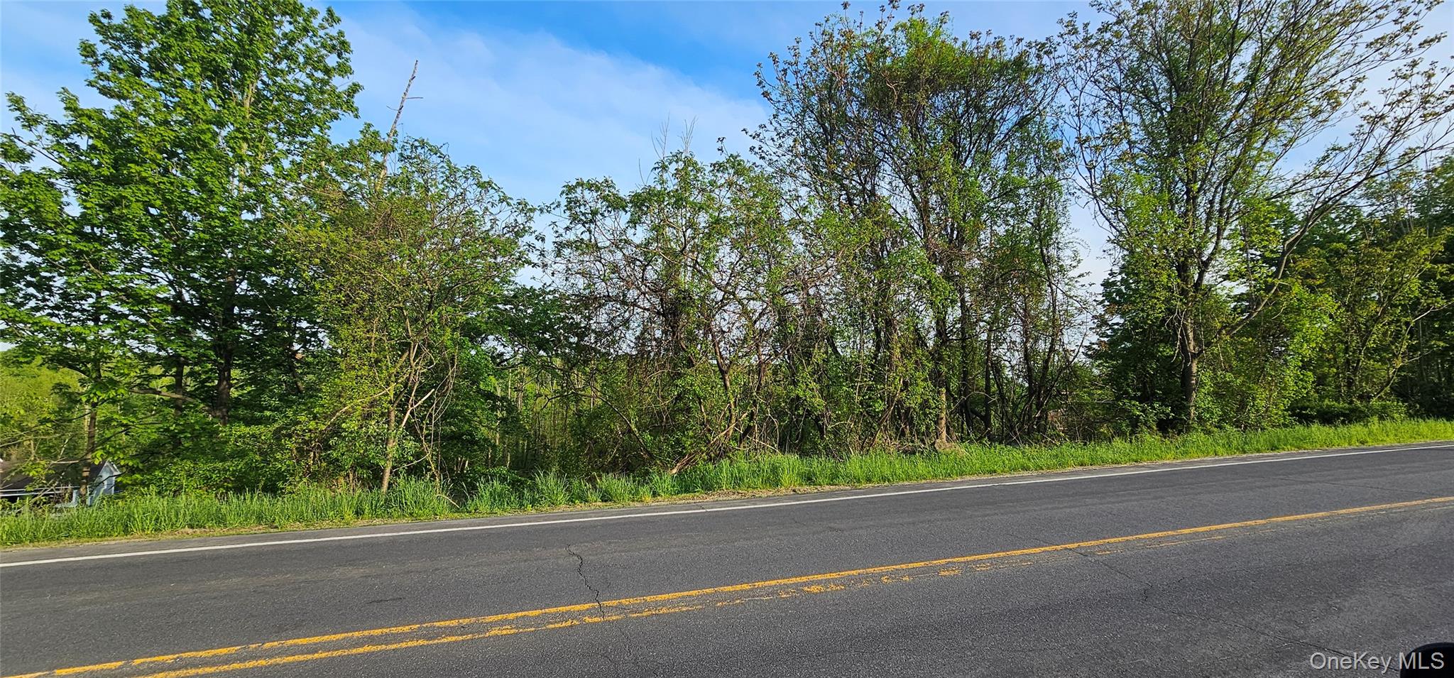 #7 photo, Old Mountain Road, Otisville , NY 10963