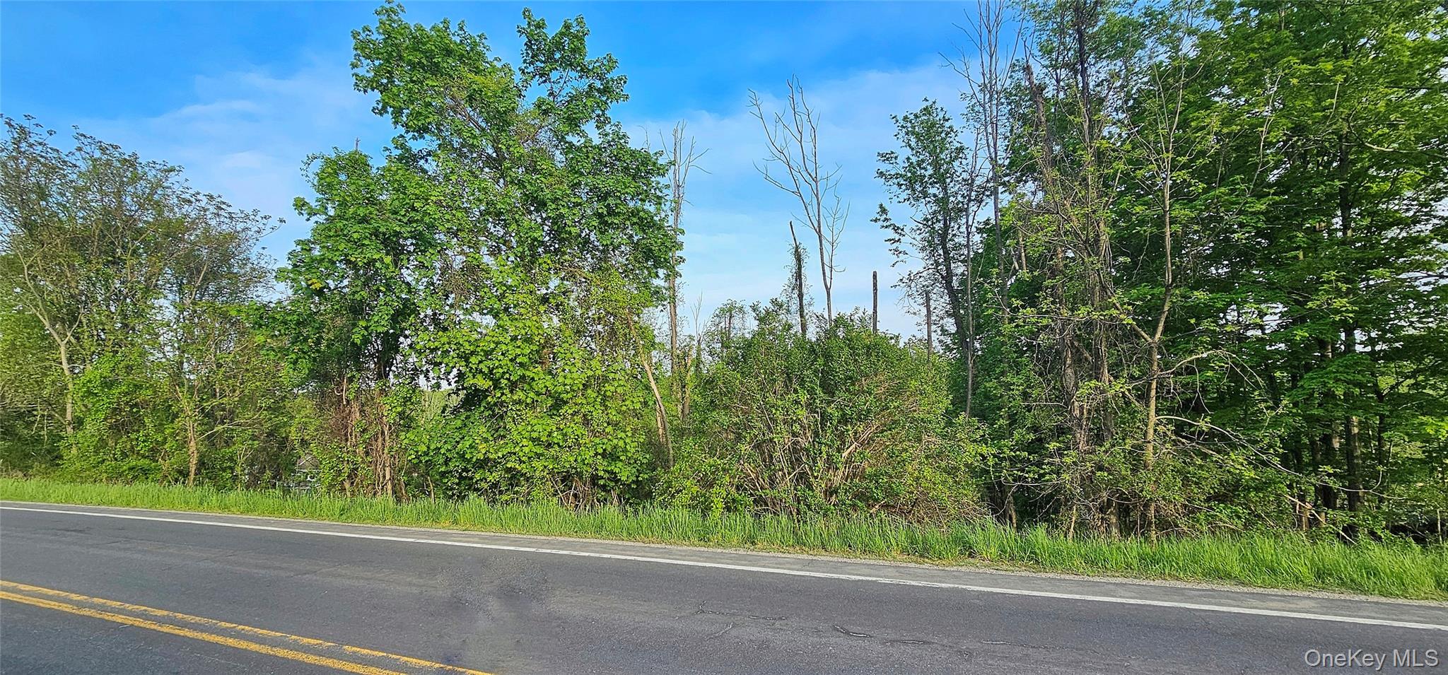 #8 photo, Old Mountain Road, Otisville , NY 10963