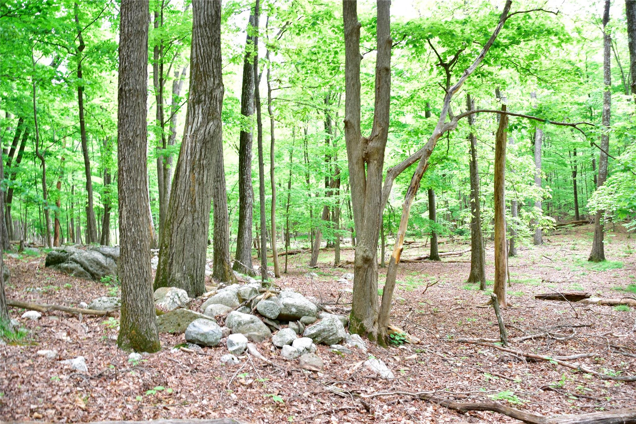 #10 photo, N Mountain RD, Gardiner , NY 