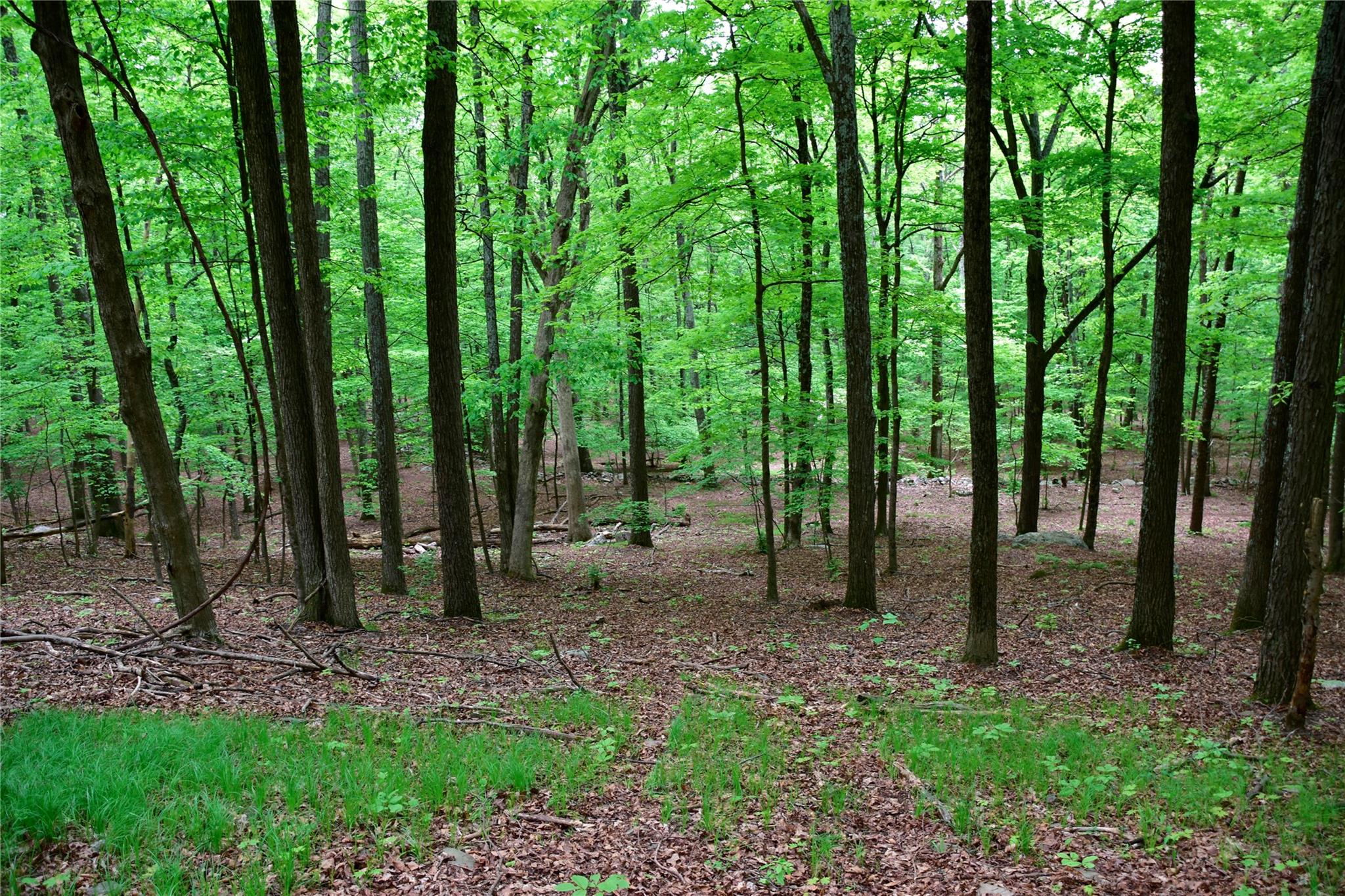 #11 photo, N Mountain RD, Gardiner , NY 