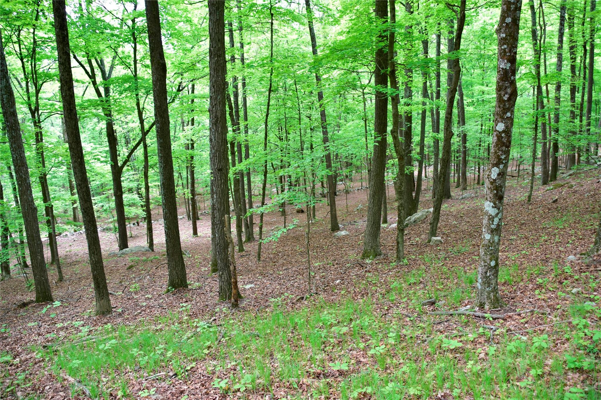 #12 photo, N Mountain RD, Gardiner , NY 