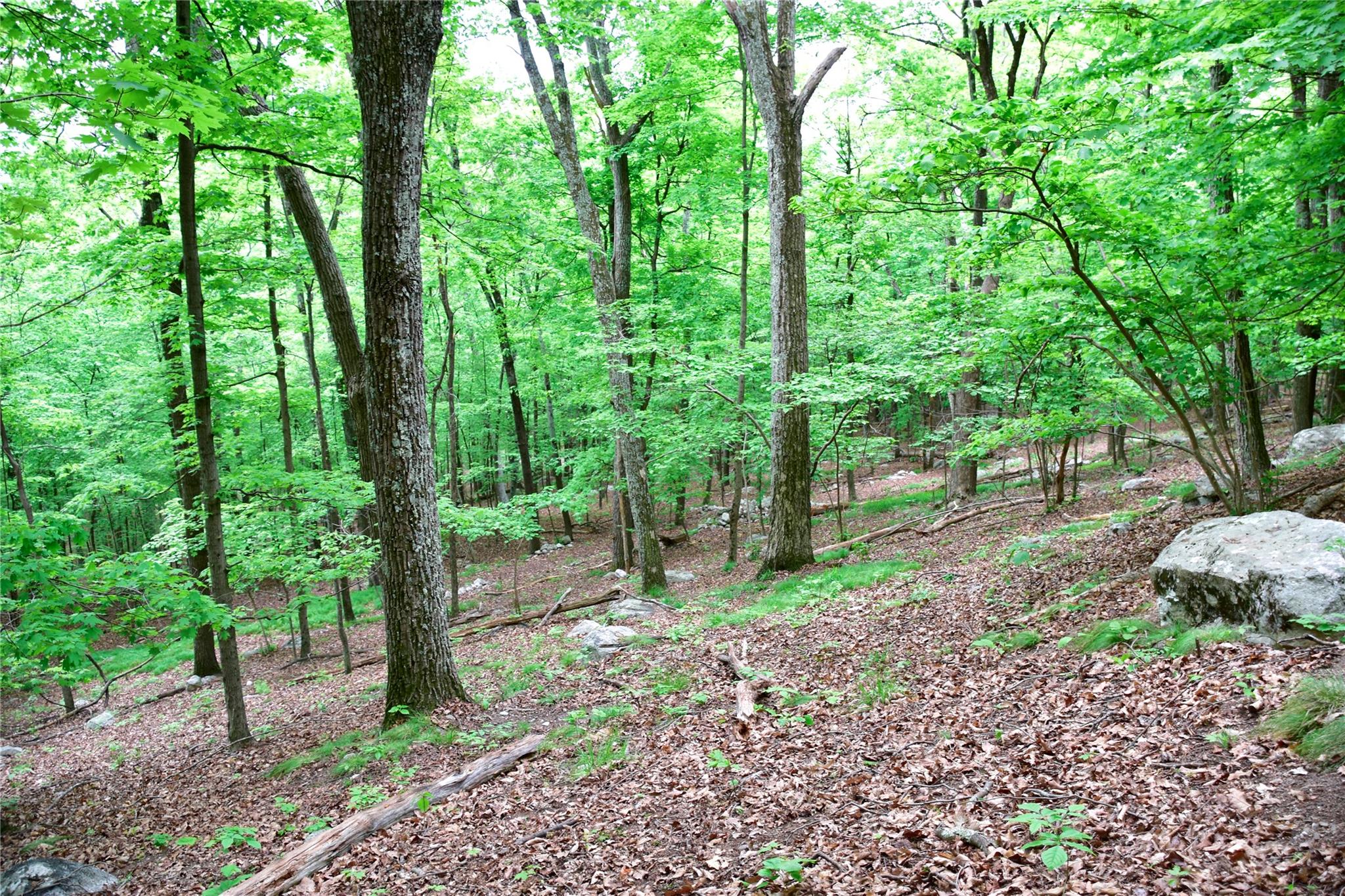 #13 photo, N Mountain RD, Gardiner , NY 