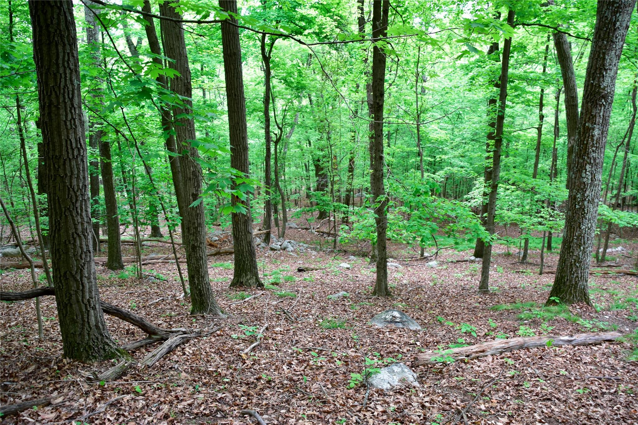 #14 photo, N Mountain RD, Gardiner , NY 