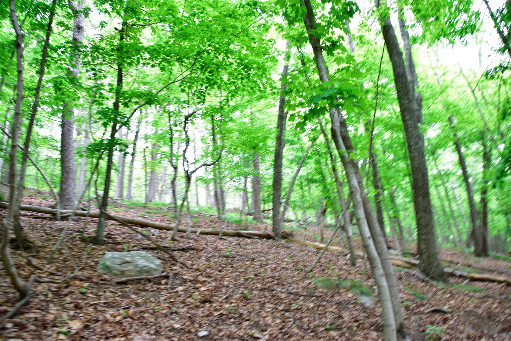 #16 photo, N Mountain RD, Gardiner , NY 