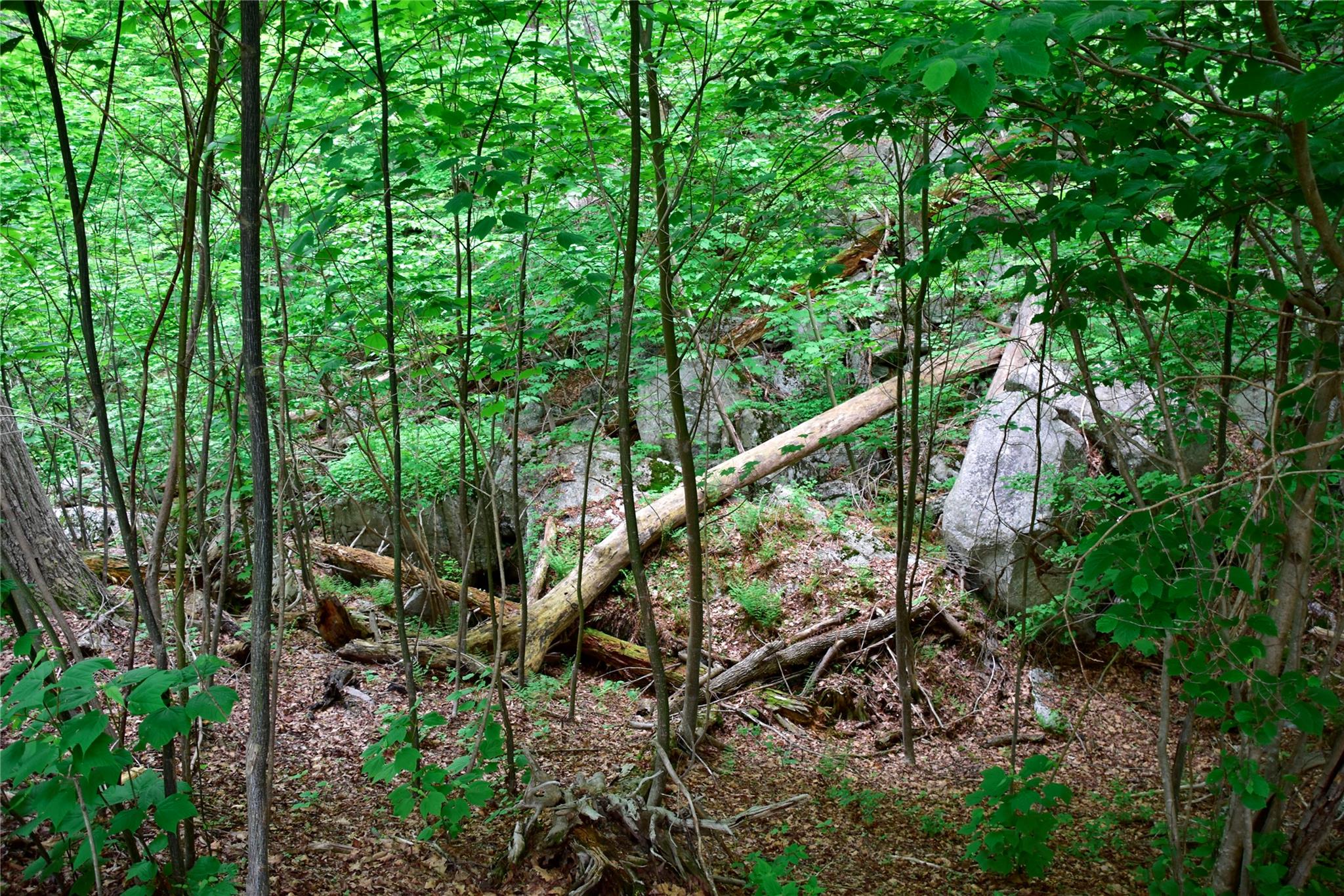 #17 photo, N Mountain RD, Gardiner , NY 