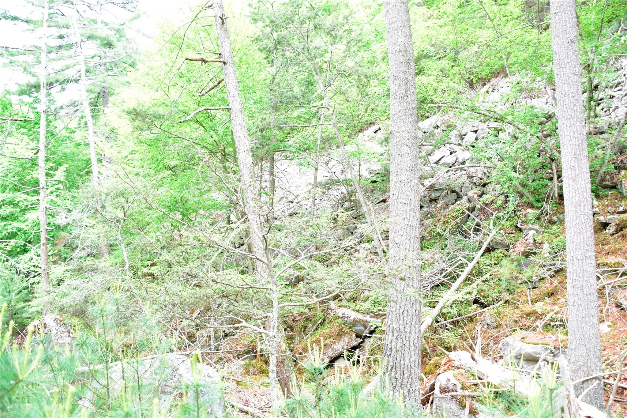 #19 photo, N Mountain RD, Gardiner , NY 